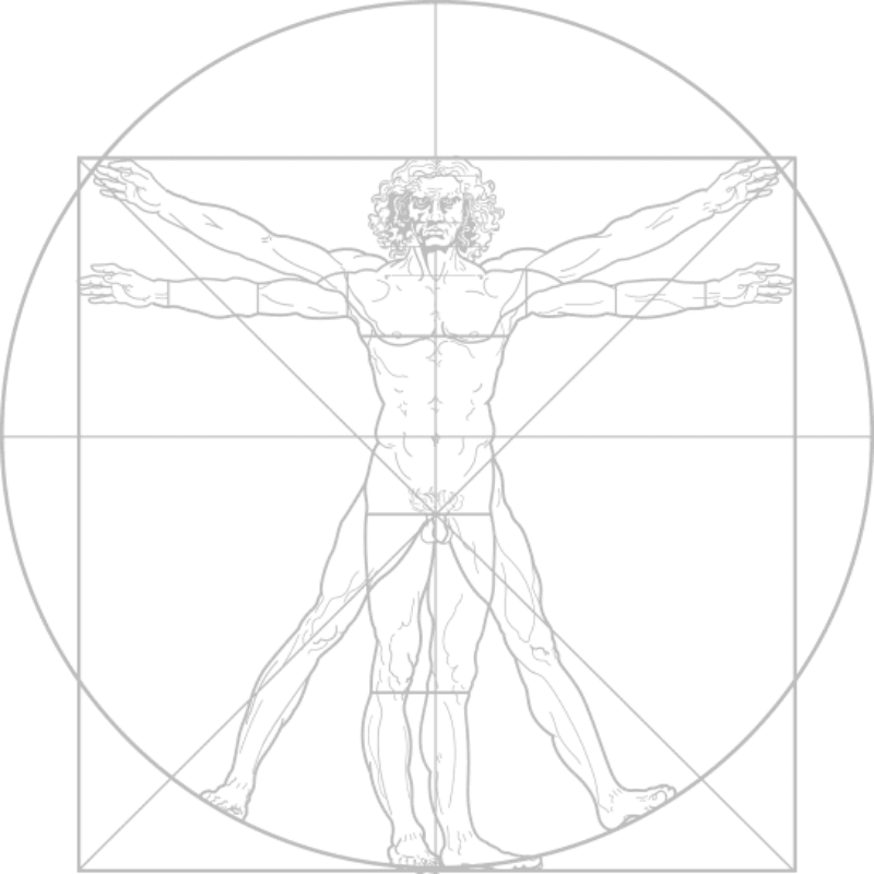 Vitruvian Man